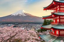 Mt Fuji Customizable Private Tour English Speaking Driver Pick-up