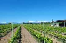 Family-owned Winery Tour with Candy Cane Mountain visit