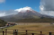 Cotopaxi Volcano and Quilotoa Lagoon Full Day Tour