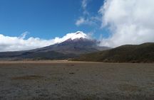 Cotopaxi Volcano and Quilotoa Lagoon Full Day Tour