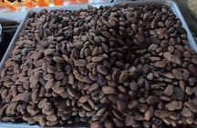 Chocolate Tasting & mayan show 