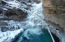 Banff Wildlife Explore and Johnston Canyon Hiking Tour