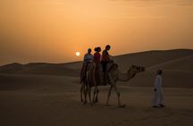 Morning Desert Safari with Dune Bashing And Camel Ride