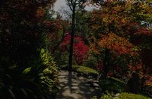 Tea ceremony at Kyoto's Zen Temple