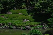 Tea ceremony at Kyoto's Zen Temple