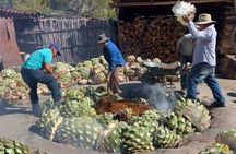 Experience the Mezcal Tour in Oaxaca