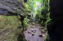 Toronto to Blue Mountain: Nature, Views, and Adventure, day tour