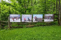 Toronto to Blue Mountain: Nature, Views, and Adventure, day tour