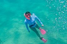 Kona Snorkeling Adventure Open Charter