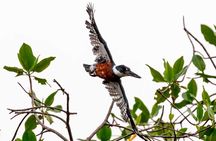 Half Day Tour Churute Mangroves and Bird Watching from Guayaquil