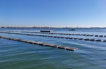 Chioggia : Aquaculture Secrets Tours of the Lagoon