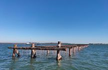 Chioggia : Aquaculture Secrets Tours of the Lagoon