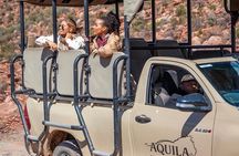 Big 5 Safari Aquila Game Reserve 