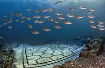 Diving at the Baia Submerged Park for certified divers