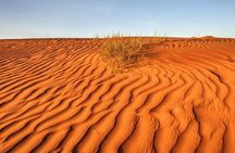 Private sunset trip in Wahiba Sands desert with dinner
