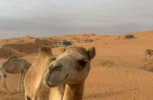 Private sunset trip in Wahiba Sands desert with dinner