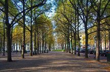 Leiden & The Hague: Pilgrims, Rembrandt and Royal History