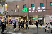 Tokyo Akihabara Anime Manga Video Games and Hidden Gems Tour