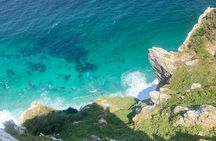 Cape Town: Peninsula, Cape of Good Hope and Penguins Tour