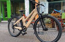 Budapest on an ebike with great views over the city