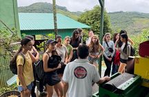 El Pueblo Coffee Tour Monteverde