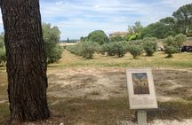 Quarries of Light and Les Baux de Provence