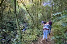 Western Bays Sightseeing Tour from Kinloch Lake Taupo