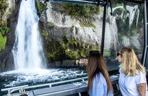 Western Bays Sightseeing Tour from Kinloch Lake Taupo