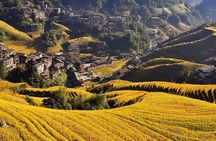 Longji Dazhai Rice Terraces: Cable Car Adventure