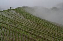 Longji Dazhai Rice Terraces: Cable Car Adventure