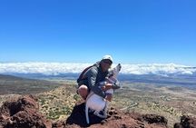 Kilauea Volcano Private Tour from Kailua-Kona
