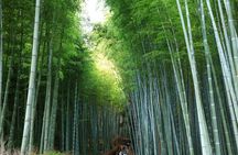 From Osaka: Kyoto Must-see Spots & Nara Park Sightseeing Day Tour