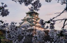 Osaka City Cherry Blossom Private Sightseeing Tour