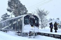 Hokkaido Otaru Private Full Day Tour (Depart from Sapporo)