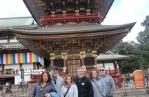Narita Layover tour with National Licensed guide