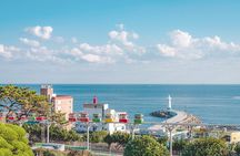 Busan Top Coastal Highlights with Gamcheon Village & Sky Capsule