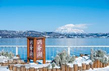 Hokkaido: Lake Toya, Bear Ranch and Sapporo Otaru Full Day Tour