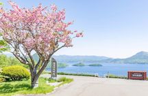Hokkaido: Lake Toya, Bear Ranch and Sapporo Otaru Full Day Tour