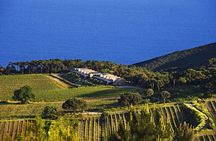 Family E-Bike Tour in the Costa dei Gabbiani Nature Reserve