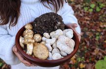 Private Daytrip for Truffle Mushroom Foraging and Wine Tasting
