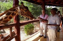 Giraffe Center Half Day Trip from Nairobi