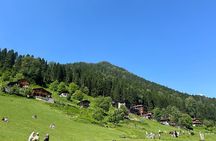 Rize and Ayder Tour Mountains and River