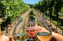 Semi Private; Wine Tasting Experience & Walking Tour of Durres