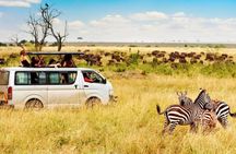 3 day Maasai Mara Small Group Safari in a 4 x4 Land Cruiser Jeep