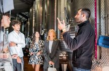 Valdobbiadene (Treviso): Prosecco Tasting Experience 