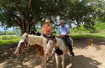 Horseback Riding and Taíno Cave Exploration 