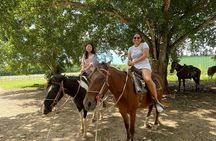 Horseback Riding and Taíno Cave Exploration 