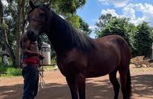 Horseback Riding and Taíno Cave Exploration 