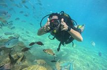Scuba Diving , Snorkeling , and Swimming in Jeddah 