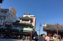 Tokyo Half Walking Day Tour with a Local Expert Guide